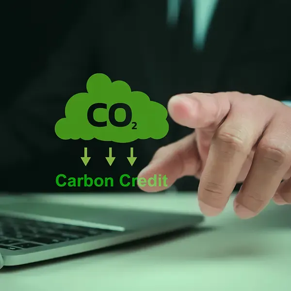 B&W Werbeartikel Klimaschutz mit System
