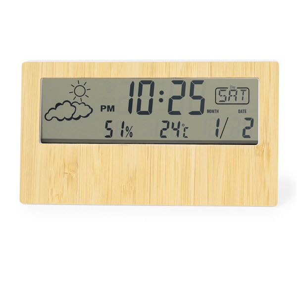 Wetterstation Roamer