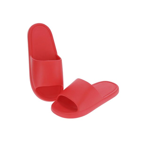 Flip Flop Ridel