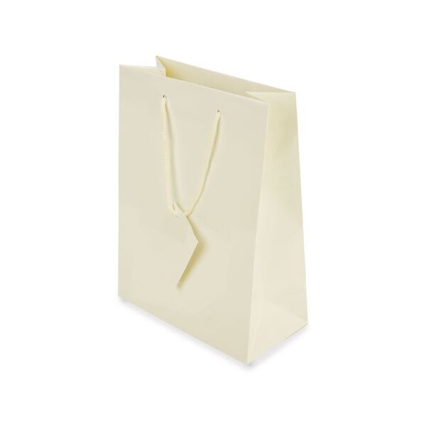 Papier Geschenktasche "M" 16x23x10cm
