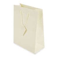 Papier Geschenktasche "L" 22x30x11cm