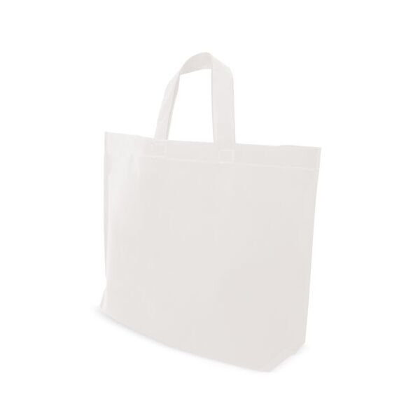 PP-Non-Woven Tragetasche "Easy" 53,5x39x10,2cm