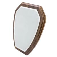 Moderne Troph&auml;e "Hexagon"
