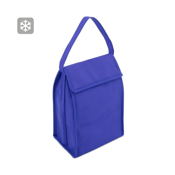 Große Kühltasche (9 Dosen) 21x27x12cm (blau)