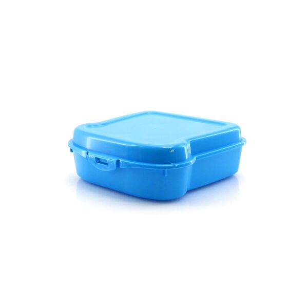Sandwich Lunch Box Noix