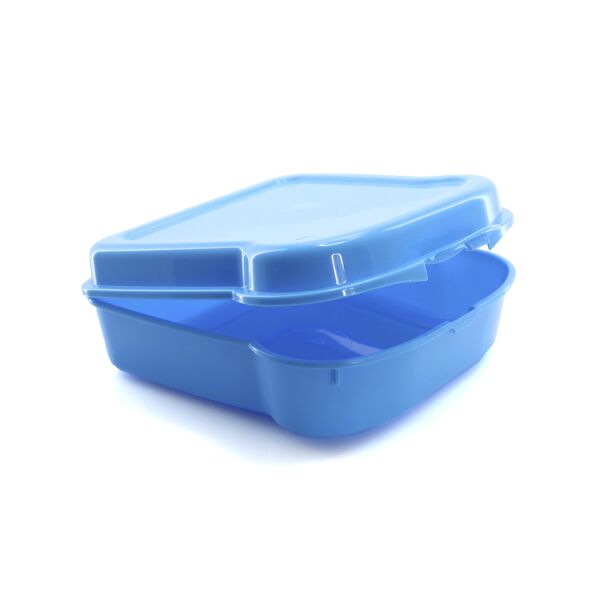 Sandwich Lunch Box Noix