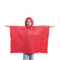 Poncho Teo