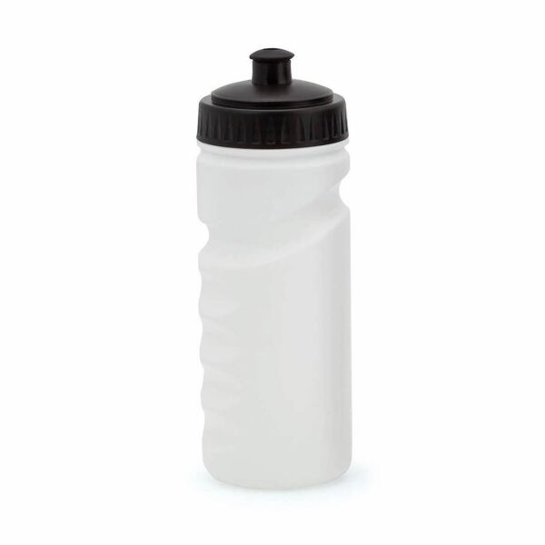 Trinkflasche Iskan