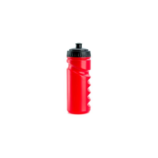 Trinkflasche Iskan
