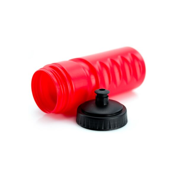 Trinkflasche Iskan