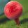 Golf Tee Hydor