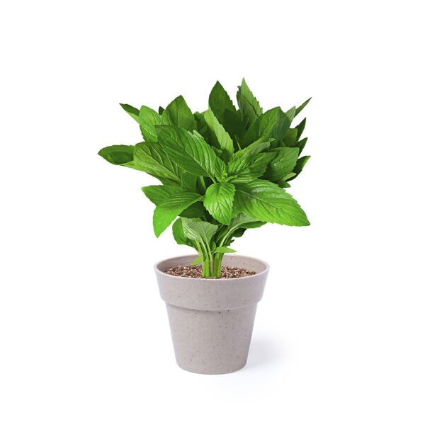 Blumentopf Set Nertel