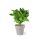 Blumentopf Set Nertel