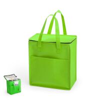 K&uuml;hltasche Lans