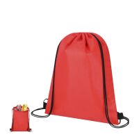 K&uuml;hltasche Rucksack Nipex