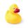 Ente Koldy