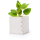 Blumentopf Merin
