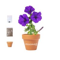 Blumentopf Soltax