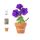 Blumentopf Soltax