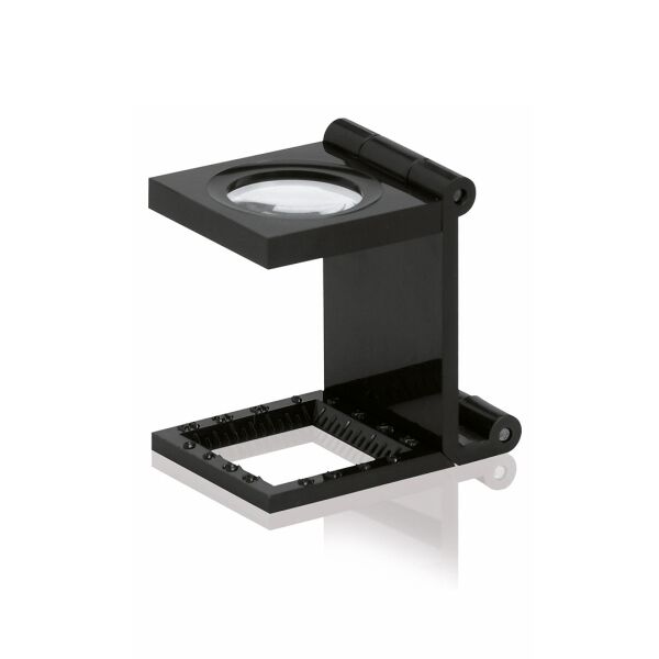 Lupe Mauran 7X