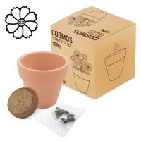 Terracotta Topf mit Samen