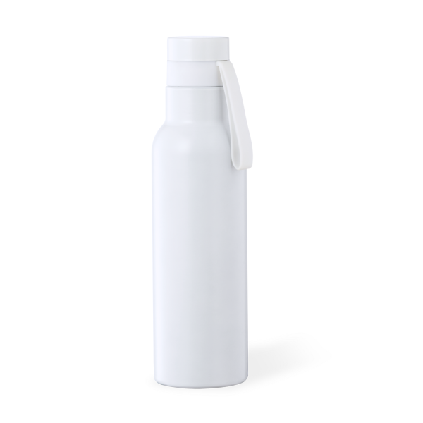 Wärme Flasche Roach