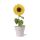 Blumentopf Tumil
