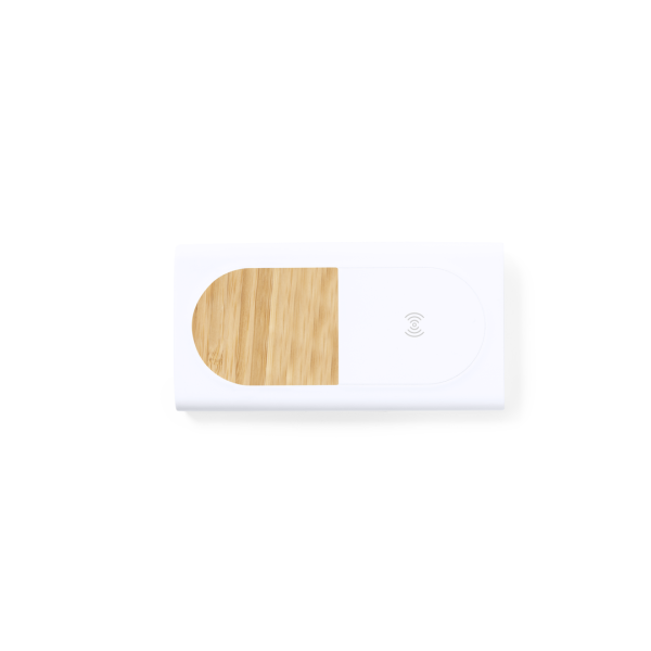 Power Bank Ditte