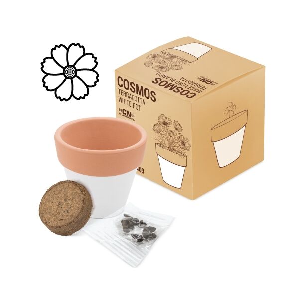 Pflanztopf mit Samen "Terracotta"