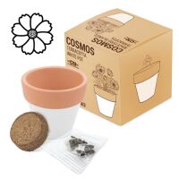 Pflanztopf mit Samen "Terracotta" (COSMOS)